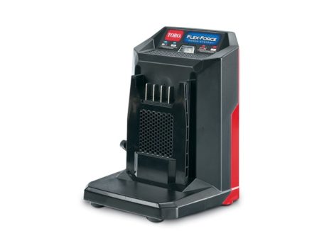 Ładowarka Toro FlexForce  60V 2&nbsp;Amp, 220V 81802