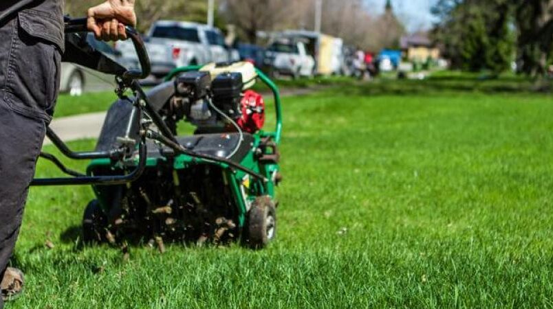 Aeracja trawnika – kiedy, jak i&nbsp;czym?