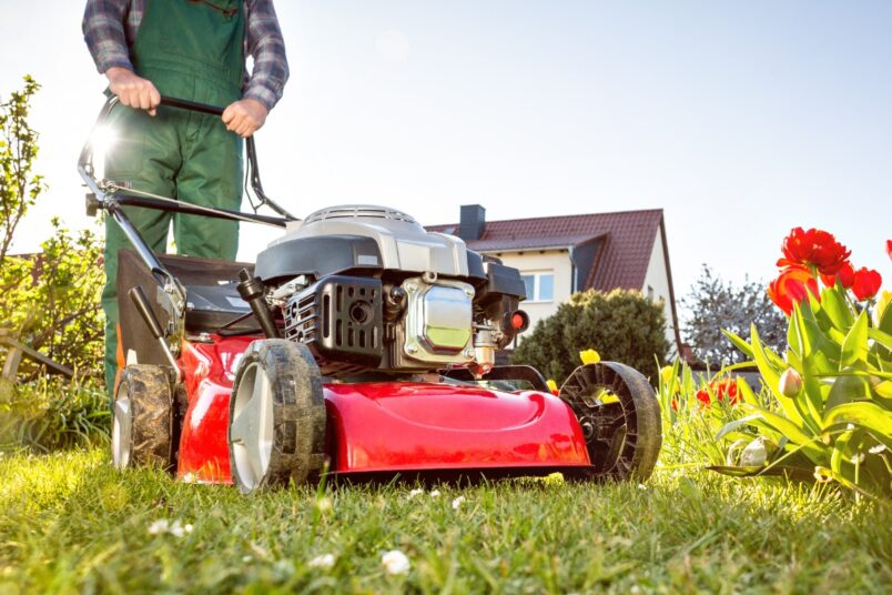 Kosiarka elektryczna czy spalinowa? Podpowiadamy!