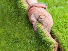 Zakładanie trawnika krok po kroku. Kiedy zakładać trawnik i&nbsp;siać trawę?