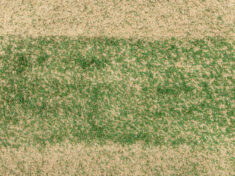 Piaskowanie trawnika – kiedy, czym i&nbsp;jak przeprowadzić ten zabieg?